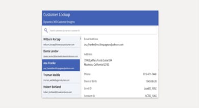 customer-lookup customer lookup