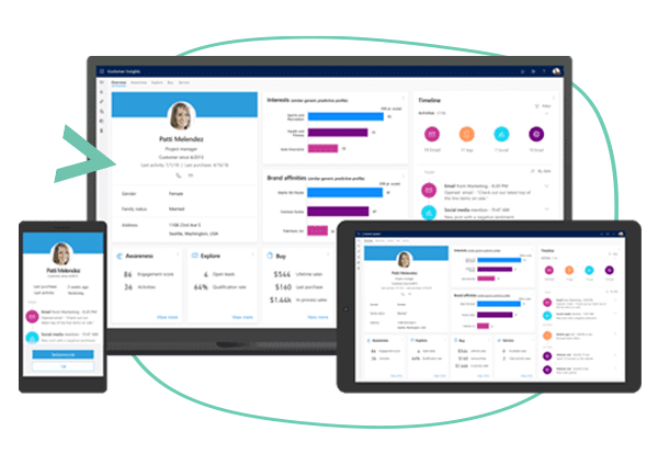 Interfaz de Dynamics 365 Customer Insights