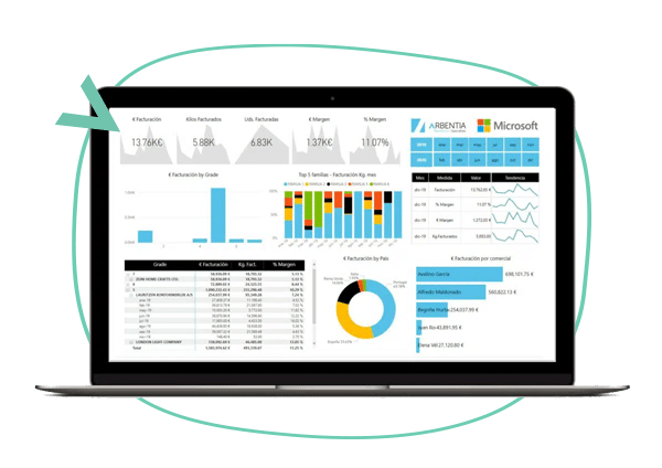 PowerBIzz App de cuadros de mando para el sector distribución