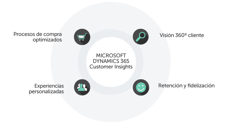 Características clave de la plataforma de Customer Insights de Microsoft