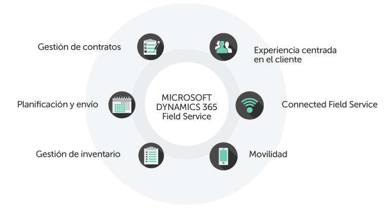 Características de Field Service Microsoft
