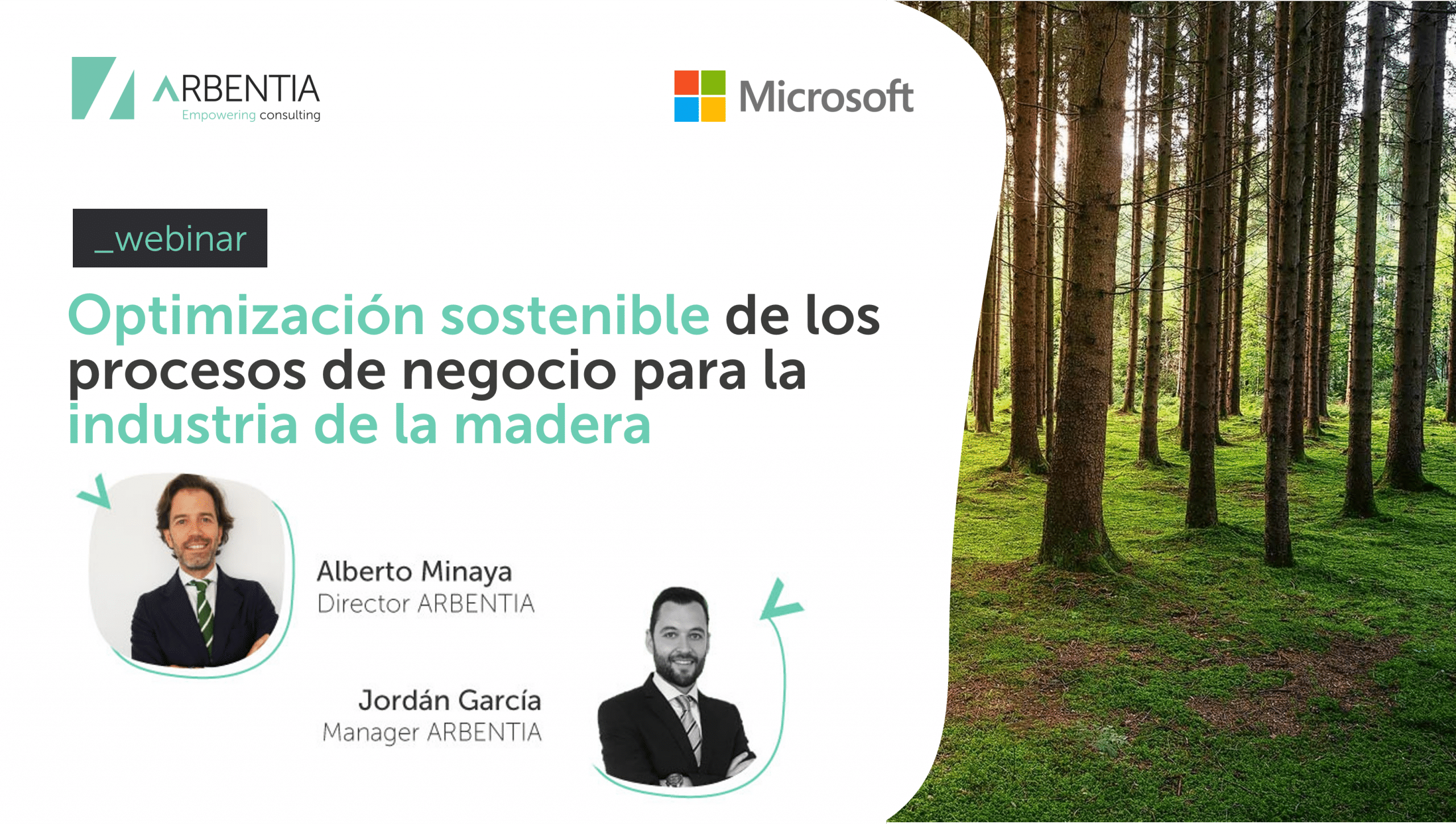 TECNOLOGÍA MICROSOFT PARA GESTIÓN DE INDUSTRIA DE LA MADERA